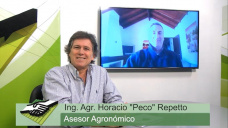 TV: Cuales son los problemas sanitarios, productivos y de rentabilidad que tiene el Campo hoy?; con Peco Repetto