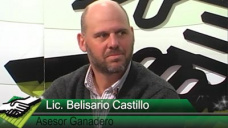 TV: Belisario Castillo analiza a cada eslabn de la cadena ganadera y el precio de la carne vs. inflacin