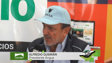 TV: Qu opina el Pres. de Angus del Boom Ganadero ms all de la seca?; con A. Gusman