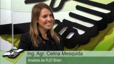 TV: Pueden aumentar los granos si a EEUU le pega mal el clima?; con Celina Mesquida