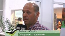 TV: Mejorar la Ganadera con la apertura de nuevos mercados?; con Belisario Castillo