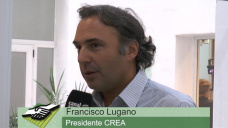 TV: Como ve la situacin del Campo en 2018 el Presidente de CREA?; con Francisco Lugano