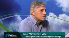 30 online B5: Sigue habiendo chances de un Boom Ganadero argentino?; con J. Martnez del Valle - Angus