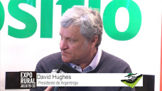 TV: Sembrar o no sembrar ms Trigo?, thats the question; con D. Hughes - Pres. Argentrigo