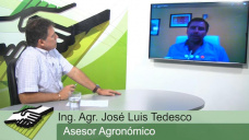 TV: Por donde pasan las nuevas tendencias agronmicas en zonas de alta produccin; con J. L. Tedesco