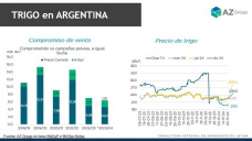 Trigo: Esperando que Brasil traccione por trigo argentino; con Catalina Ferrari - Clnica de Granos