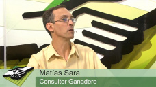 TV: Cmo viene el mercado ganadero y qu podemos esperar?; con Matas Sara