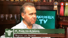 Ganad.TV B3:  Cmo reaccionarn los mercados Ganaderos locales y la exportacin?; con M. Achval - Martillero