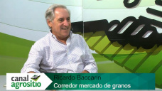 TV: Parlisis por sequa y prdidas de precio en Soja; con Ricardo Baccarin - Corredor