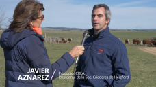 Uruguay TV: La ganadera en Uruguay segn un productor CREA y de Hereford; con J. Aznarez