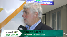 TV: Se viene un Boom del Maz cercano a 50 Mill Tn de produccin?; con A. Morelli - Maizar