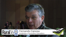 TV: La Mesa de Carnes trabaja hace ms de un ao por el crecimiento de las cadenas; con F. Canosa