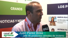 TV: Cmo se presenta el panorama sanitario en Trigo y Cebada y como estar preparados?; con J. Perez Brea - BASF