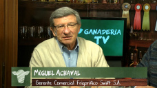Ganad.TV B1: Estn preparados los productores para exportar 1 Mill Tns de carne de calidad?; con M. Achaval