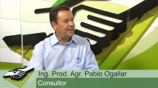 TV: Quienes son ms competitivos; los productores yanquis o los argentinos?; con P. Ogallar