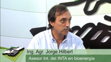 TV: Qu es la biomasa y cules son los planes para Argentina; con J. Hilbert - INTA
