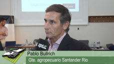 TV: Le conviene a los productores endeudarse en dlares?; con P. Bullrich - Santander Ro