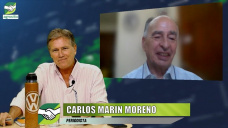 Analizando mrgenes, costos y cultivos ms rentables para la Campaa 2024/25; con Carlos Marn Moreno