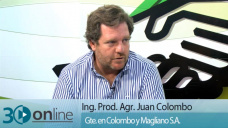 30 online B3: Estamos viendo una muy buena relacin Invernada / gordo?; con Juan Pedro Colombo