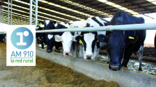 Micro Agropecuario:  Productores e industriales piden que no se incluyan los lcteos en el acuerdo Mercosur-Unin Europea