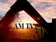 AM TV: 