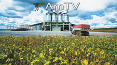 AMTV: La soja se posiciona sobre los U$S 425/Tn