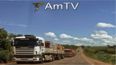AMTV: El mercado comienza a operar con bajas en soja a medida que se digiere el Informe del Usda
