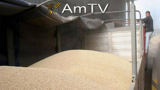 AMTV: La soja permanece en la senda alcista mientras que el mercado da por hecho un recorte de stocks