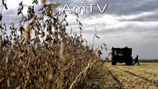 AMTV: Nuevas cadas para la soja y demanda internacional vital