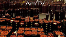 AMTV: Fuertes subas en el precio del tomate. Retrasos de recoleccin en EEUU