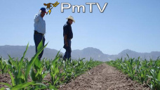 PMTV: Excelentes rindes de maz en EEUU. La soja tuvo subas de U$S 3/Tn