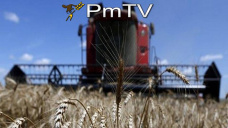 PMTV: Jornada con tendencias declinantes en todos los commodities