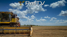 PMTV: Quinta rueda consecutiva de bajas para la soja