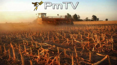 PMTV: Jornada de subas de U$S 5/Tn para la soja y de U$S 2/Tn para el maz